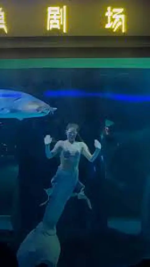 بالفيديو..سبّاحة روسية تنجو من هجوم سمكة حفش عملاقة في الصين  ...